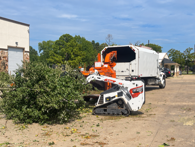 Tracked loader and chipper truck beside cut tree limbs during arbor care work