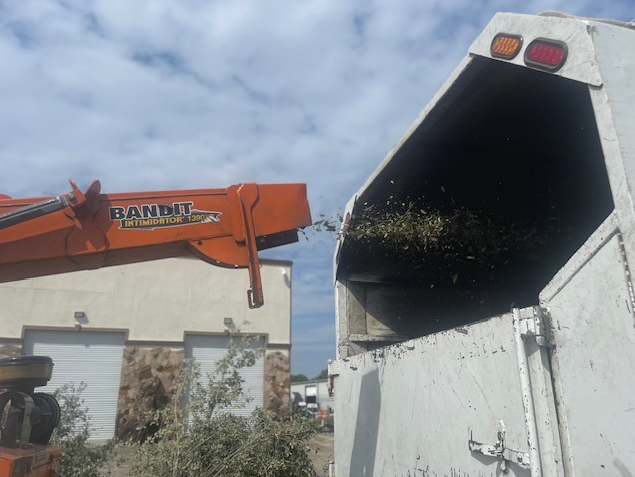 A chipper feeding cut brush into a truck during arbor care work