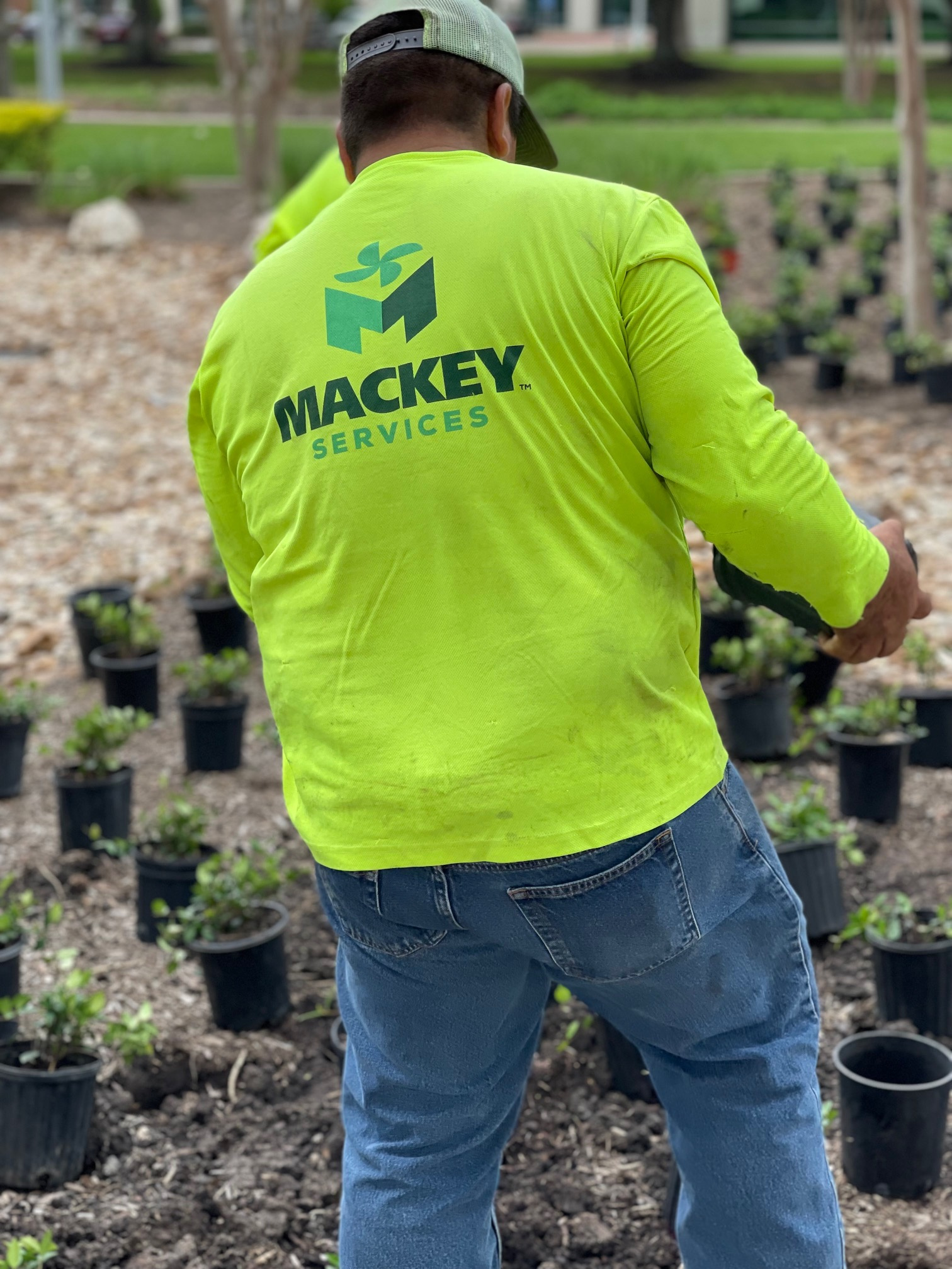 Mackey team member working among nursery plants ready for installation
